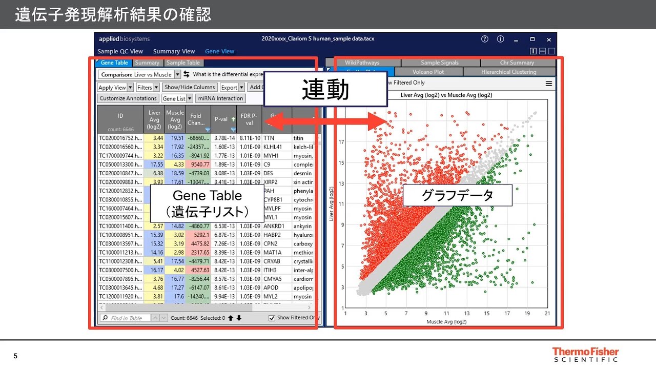 フリーのマイクロアレイ解析ソフトを使って発現解析してみよう Learning At The Bench