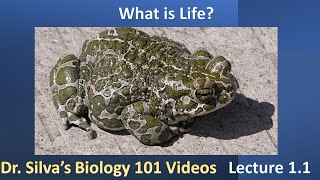 Lecture 1.1 - What is Life? - Biol 101