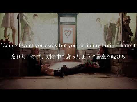 【和訳】never goodbye, overtonight - i hait it (Lyrics)