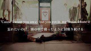 【和訳】never goodbye, overtonight - i hait it (Lyrics)