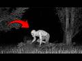 Real Videos Of Skinwalkers Caught On Camera!
