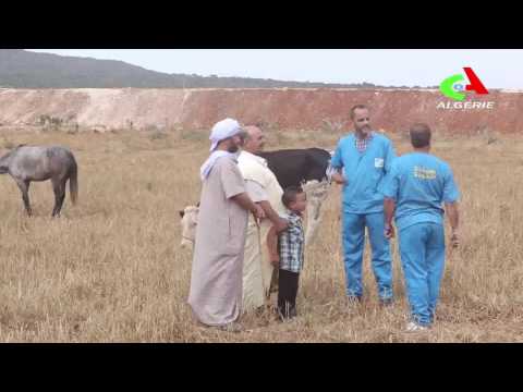 Clinique Hamouda حمودة و العيادة الحلقة09 HD