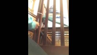 screenshot of the youtube video