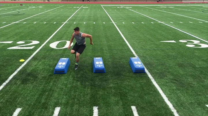 Dominick Ferrara 2017 WR Davidson Academy