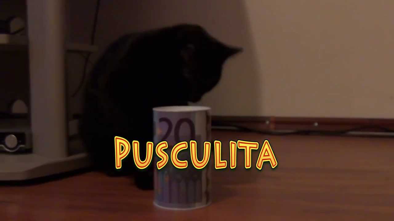 toshiba si pusculita - YouTube