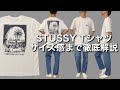 【2021春夏 STUSSY】めちゃくちゃオススメなTシャツ紹介【アメカジ初心者向け 購入品紹介 コーディネート】