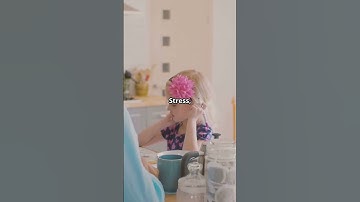 Understanding Aggression: The Roots of Human Violence