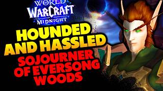 Hounded and Hassled @Blizzplanet