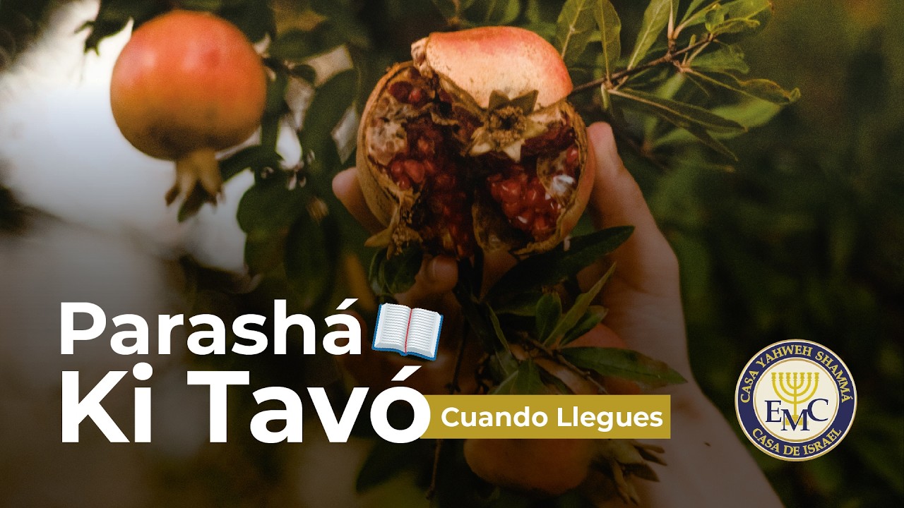 PARASHÁ #50: "KI TAVÓ" ("CUANDO LLEGUES") 5786 - Parte 1