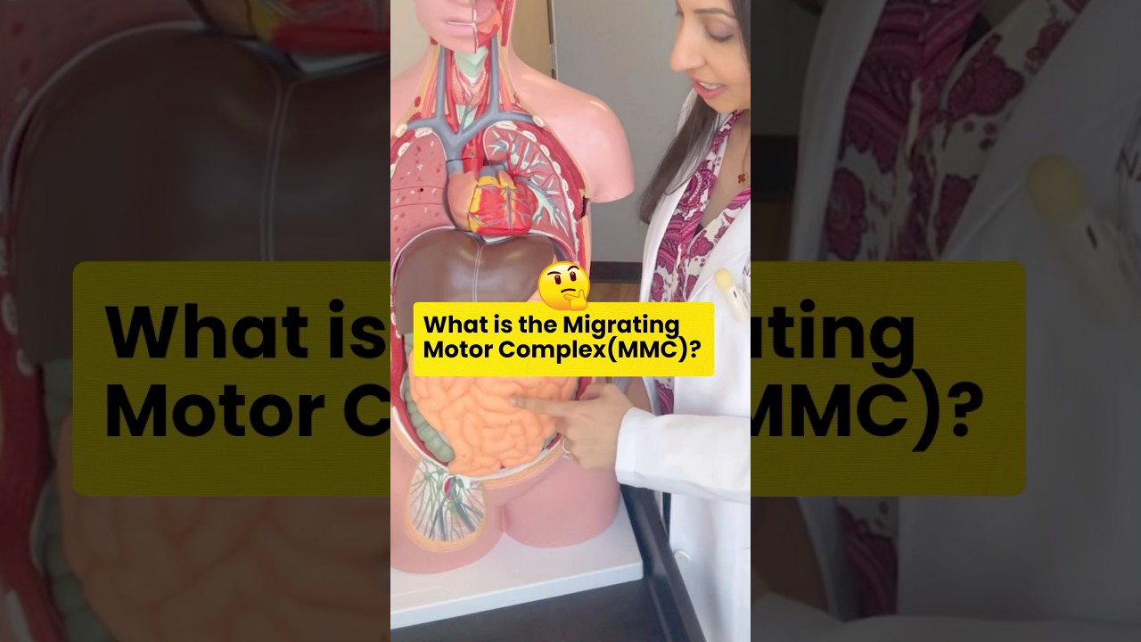 ↩️ Миграция двигательного комплекса: волны очищения в кишечнике! 