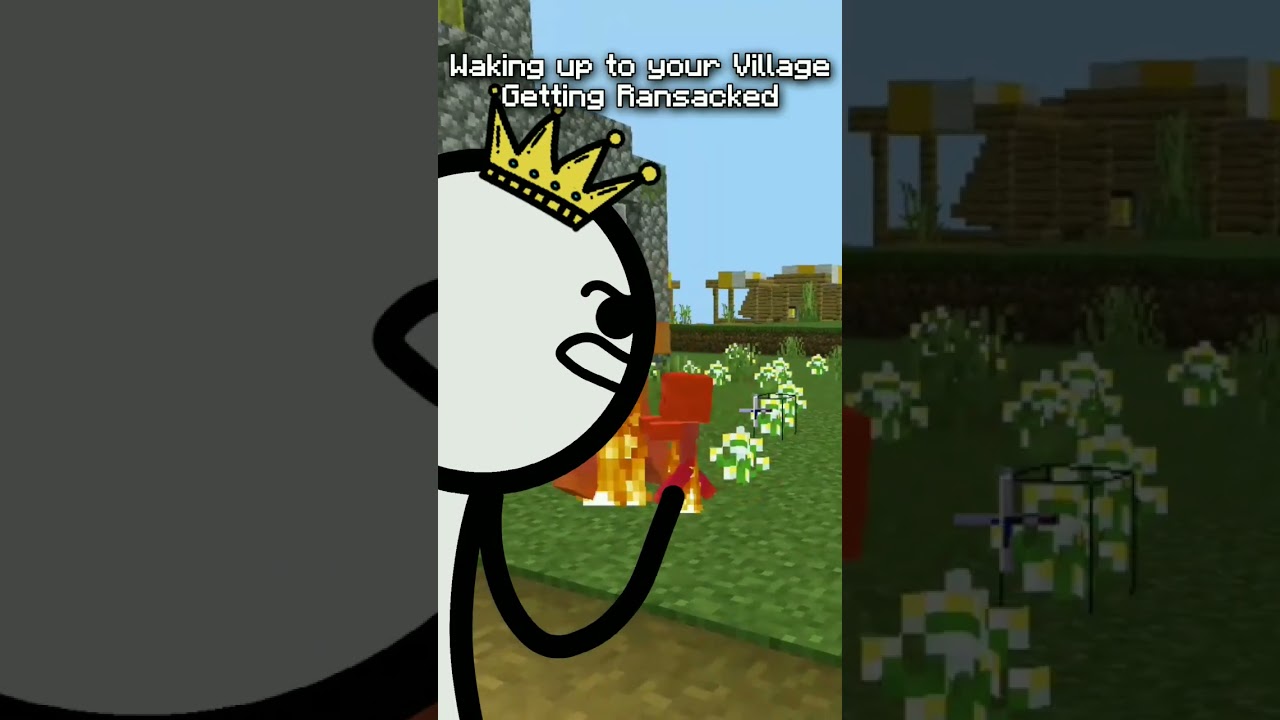 Village Ransacked #minecraft #minecraftshorts #shorts