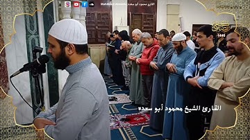 تلاوه خاشعه 18 | للقارئ الشيخ محمود أبو سعده الليله السابعه رمضان 1446