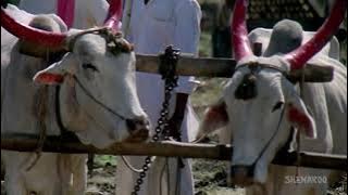 Dharni aaichi Maya Marathi song