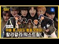 ​(ENG SUB) 몬애기들이 ⭐별점 4.8⭐을 준 만족도 최상 게임!🛎​ [EP 04_MONSTAX의 캠프닉]