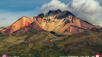 تلاوة بديعة للقارئ ناجي علي الشيزاوي للسورة البلد