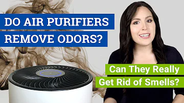Will an air purifier get rid of the smell of smoke?