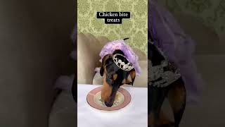 Princess Grace shares her favourite treats! by Princess Grace, the Royal Dachshund 30 views 10 days ago 1 minute, 30 seconds