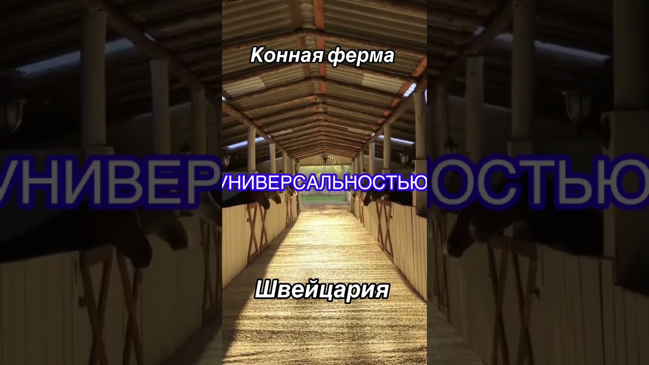 ПИШИТЕ +++ В КОММЕНТАРИИ 