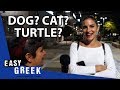 Greeks and their pets | Easy Greek 47