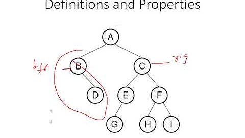 Lecture26   COMP2113   Binary Trees