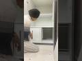 millionaire hidden drawer in wardrobe #ytshorts #shorts #baazinterior #interiordesign #home