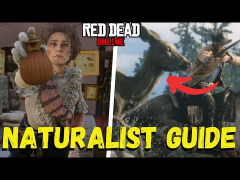 Red Dead Online Beginners Guide 2021 How To Level Up The Naturalist Role Fast RDR2 Online