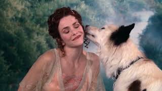 Dog With A Blog Stans Secret Is Out Series Finale Credits