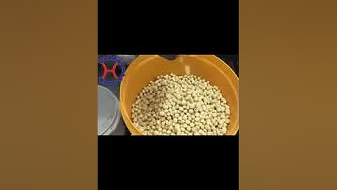Macadamia nuts shell and  kernel separator machine,how to seperate shell from macadamia nuts kernel.