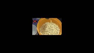 Macadamia nuts shell and  kernel separator machine,how to seperate shell from macadamia nuts kernel.