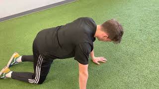 Quadruped weight shifts