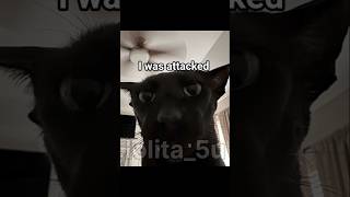 I Was Attacked By Evil Larry And Then...