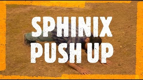 SPHINX PUSH UPS Beginners, Intermediate and Advanced levels