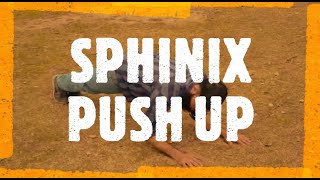 SPHINX PUSH UPS Beginners, Intermediate and Advanced levels