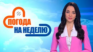 Грядут осадки! Прогноз погоды с 24 по 30 марта | Погода в Беларуси | Плюс-минус
