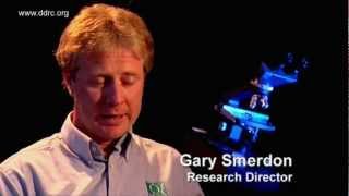 Meet The Experts - DDRC Training and Research