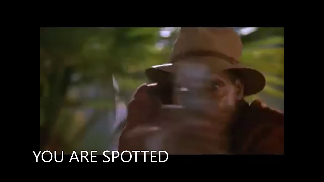 You are SPOTTED in BFV