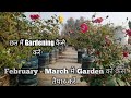 Terrace gardening ideas, Garden docoresation, Kitchen gardening