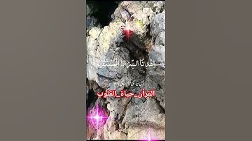 سورة الفاتحة #اكسبلور #المصحف #دويتو #القزابري #لايك #الرحمن #السعودية #تيك_توك #الظروف #راحة_نفسية