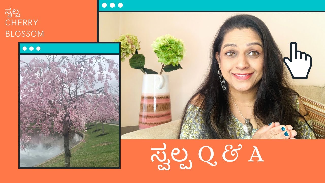 ನಿಮ್ಮಾ ಪ್ರಶ್ನೆಗೆ ನನ್ನ ಉತ್ತರQ & ACherry BlossomAmerica Kannada Vlogs