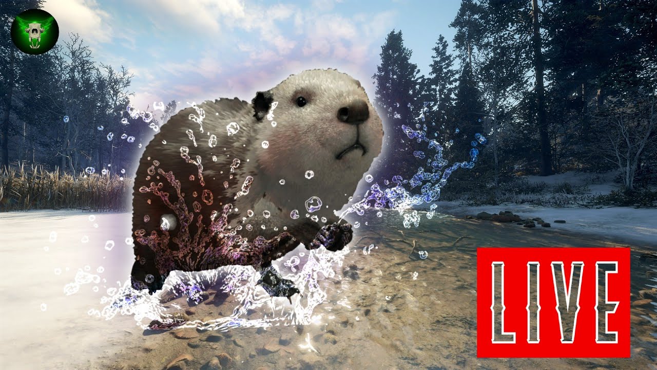 🔴LIVE! Let's Hunt Water Groundhogs (Beavers) for Groundhog Day!