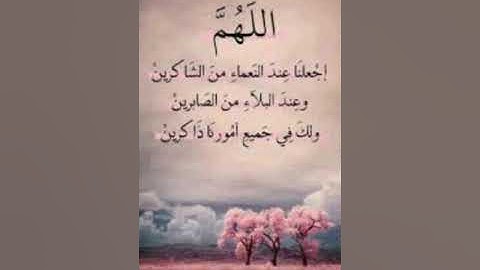 نهاية سورة المائدة  الشيخ محمد الغزالي