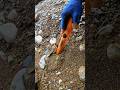 Treasure Hunting In River With Metal Detector Viralshorts Metaldetecting Treasurehunting Treasure Hunting In River With Metal Detector Viralshorts Metaldetecting Treasurehunting