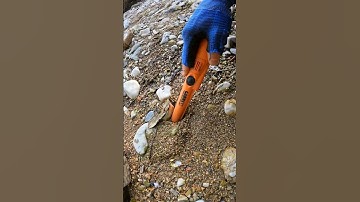 Treasure Hunting in River with Metal Detector #viralshorts #metaldetecting #treasurehunting