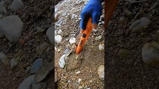 Treasure Hunting in River with Metal Detector #viralshorts #metaldetecting #treasurehunting