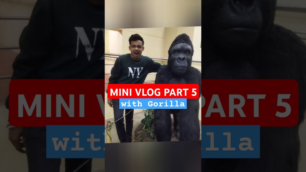 Regional Museum Tour Bhubaneswar 