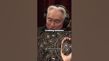 This is Why Nature Is a Quantum Computer - Joe Rogan, Michio Kaku #shorts #jre