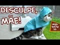 Desculpa, m~ae Show