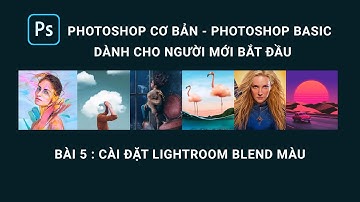 Photoshop cơ bản Bài 5 : Cài đặt Lightroom Classic blend màu | MAGICBOX.VN