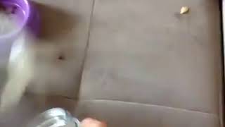 | 9GAG | Give Food Now!