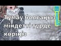 Тұмау және оны алдын алу жолдары | Үй жағдайында тұмауды қалай емдеуге болады?